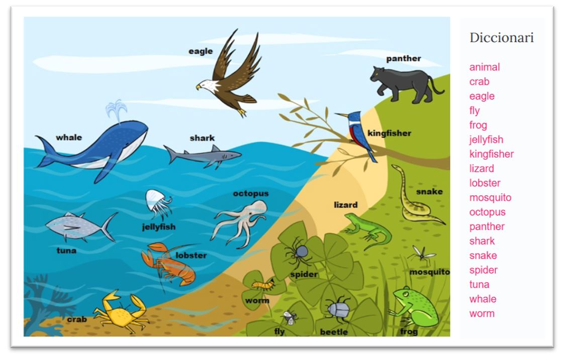 làmina animals amb marc