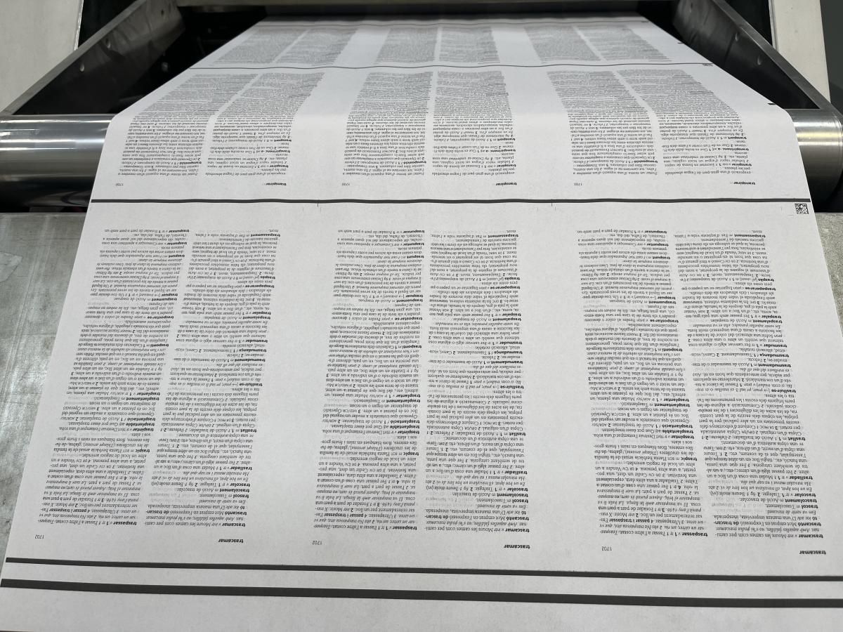 diccionari manual imprimint-se