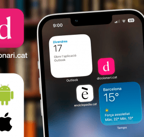 app diccionari.cat, previsualització
