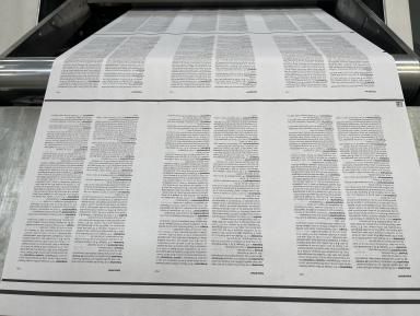 diccionari manual imprimint-se