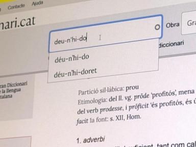paraules més buscades a Diccionari.cat acn