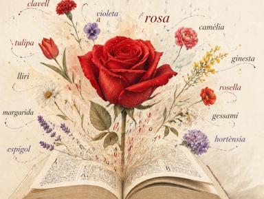 Sant Jordi 2026 amb llibres i roses